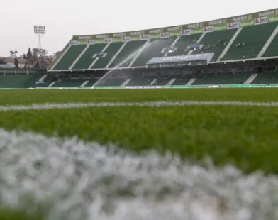 Palmeiras abre mão de R$ 14 milhões para trocar gramado do Allianz Parque