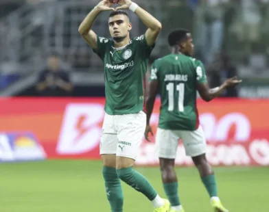Palmeiras derrota Botafogo e assume liderança do Campeonato Brasileiro
