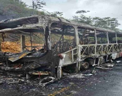 Ônibus pega fogo e é destruído pelas chamas em Juiz de Fora viação paraibuna