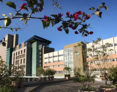 Curso de Programação no Moinho