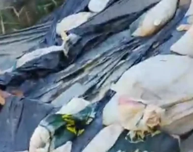 Rua Ivan Tebet, no bairro Nossa Senhora Aparecida