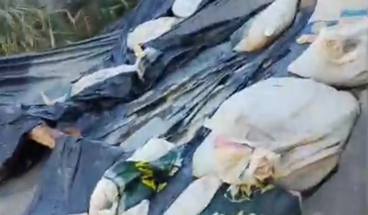 Rua Ivan Tebet, no bairro Nossa Senhora Aparecida