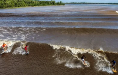 Surfistas pegam onda na pororoca no Pará