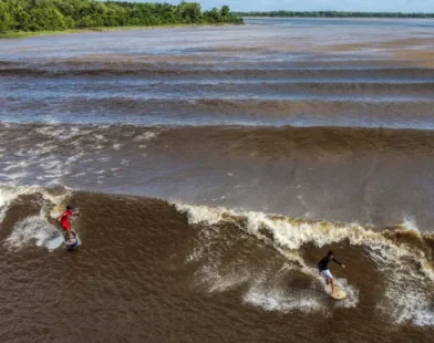 Surfistas pegam onda na pororoca no Pará