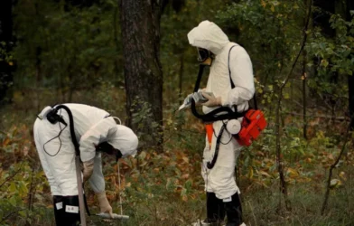 Vida selvagem substitui humanos na paisagem radioativa de Chernobyl