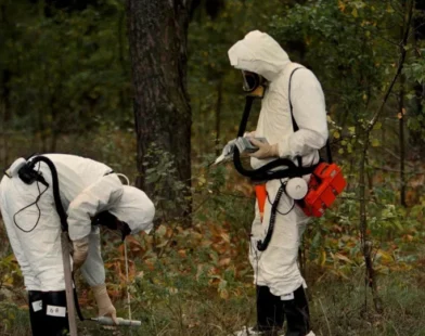 Vida selvagem substitui humanos na paisagem radioativa de Chernobyl