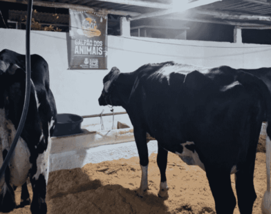 Circuito agropecuário de Juiz de Fora terá 14 eventos rurais entre junho e setembro