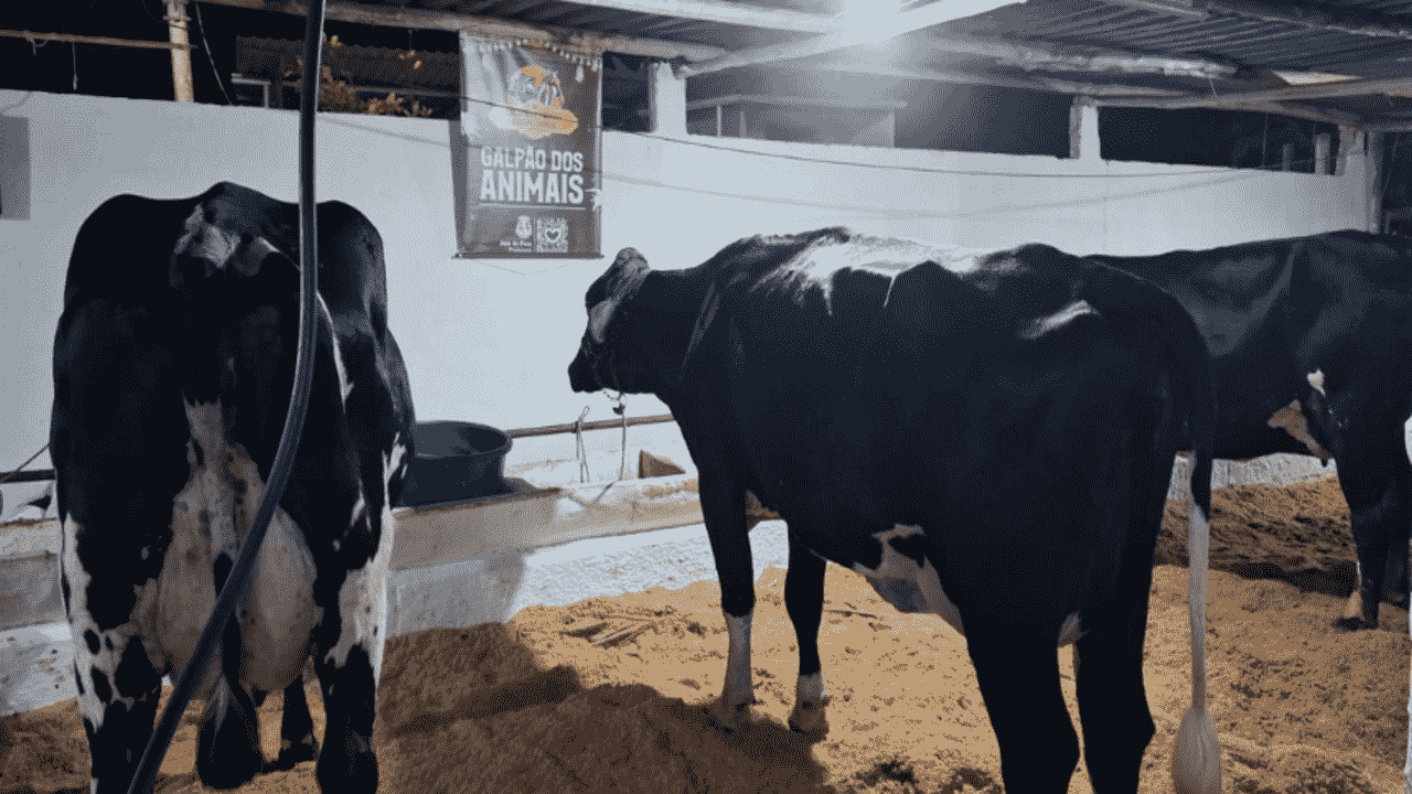 Circuito agropecuário de Juiz de Fora terá 14 eventos rurais entre junho e setembro