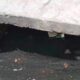 Moradores denunciam água parada em boca de lobo no Granbery