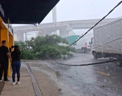 Temporal com granizo provoca queda de árvores, ventania e alerta de risco em Juiz de Fora