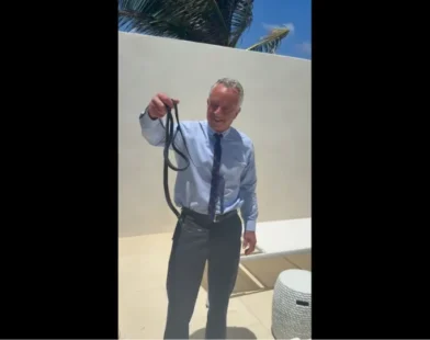 Vídeo: Robert F. Kennedy Jr. é mordido por cobras após pegá-las com a mão