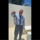 Vídeo: Robert F. Kennedy Jr. é mordido por cobras após pegá-las com a mão