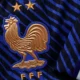 Desafiador Grupo I da Copa reúne França, Noruega, Senegal e Iraque