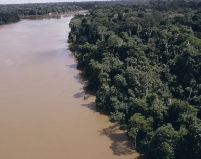Desmatamento na Amazônia cai 61,4% em maio de 2026