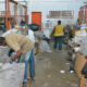 Envio de materiais recicláveis a catadores autônomos é regulamentado pela PJF