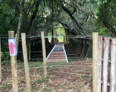 Venda de ponte de Prados por R$ 700 mil pode ter ocorrido por engano; entenda o caso